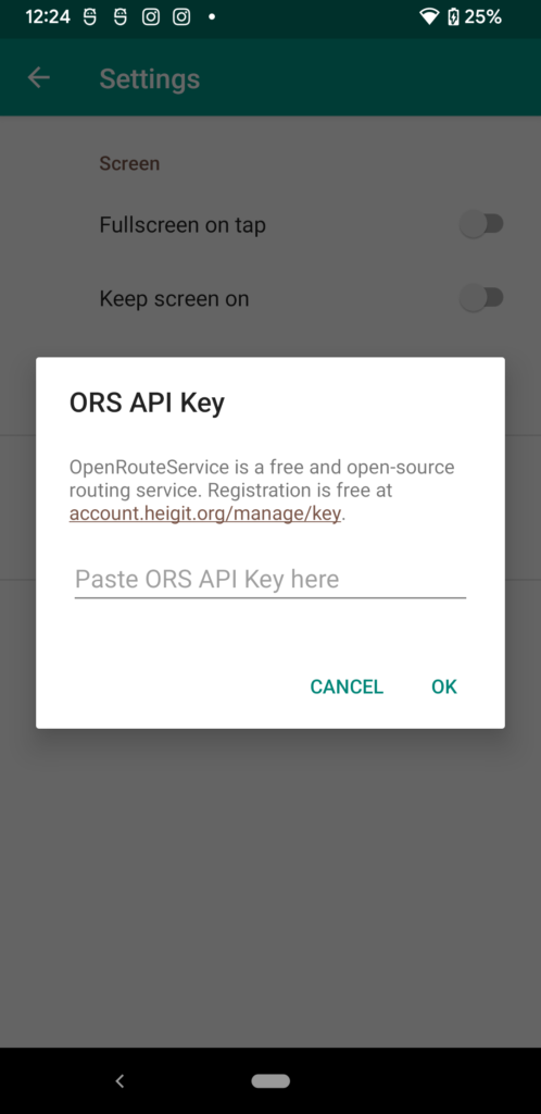 OpenTopoMap Viewer settings screen showing OpenRouteService API key input field